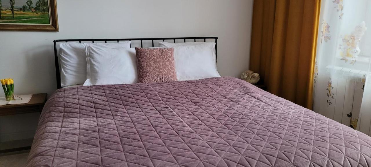 Garsoniera C&L Apartment เปโตรชานิ ภายนอก รูปภาพ