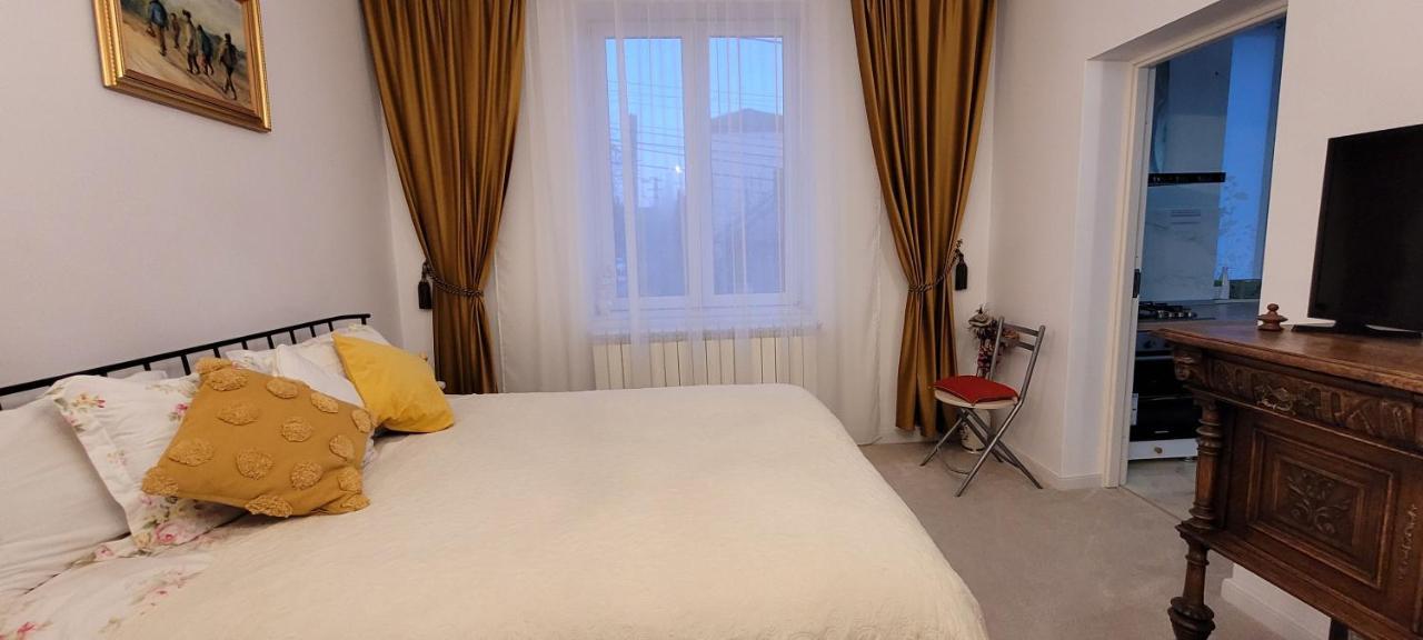 Garsoniera C&L Apartment เปโตรชานิ ภายนอก รูปภาพ